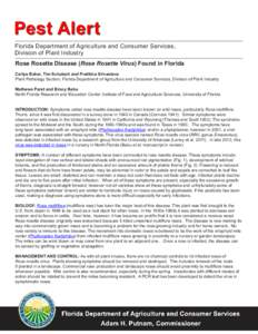 Pest Alert Florida Department of Agriculture and Consumer Services, Division of Plant Industry Rose Rosette Disease (Rose Rosette Virus) Found in Florida Carlye Baker, Tim Schubert and Pratibha Srivastava Plant Pathology