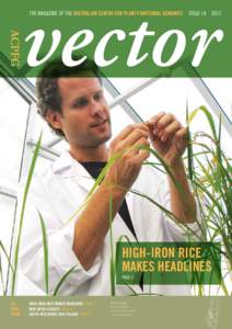 The magazine of the Australian Centre for plant functional genomics  issue 14  2012  High-iron rice makes headlines Page 3
