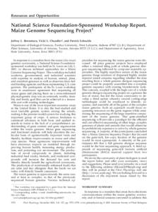 Resources and Opportunities  National Science Foundation-Sponsored Workshop Report. Maize Genome Sequencing Project1 Jeffrey L. Bennetzen, Vicki L. Chandler*, and Patrick Schnable Department of Biological Sciences, Purdu