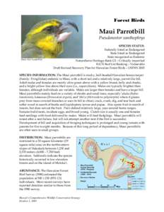 Drepanidinae / Maui Parrotbill / Hawaiian honeycreepers / Parrotbill / Maui / Endemic birds of Hawaii / Passerida / Fauna of the United States / Fringillidae