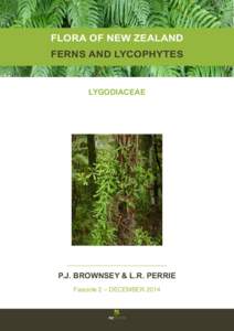 Biology / Pteridopsida / Lygodium / Pteridophyta / Frond / Schizaeaceae / Fern / Flora of New Zealand / Cyatheales / Plant taxonomy / Botany / Schizaeales