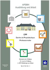 APEMH Ausbildung und Arbeit CPP Centre de Propédeutique Professionnelle