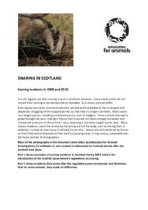 SNARING IN SCOTLAND Snaring incidents in 2009 and 2010 It is still legal to set free-running snares in Scotland. However, many snares either do not remain free-running or do not operate as intended. As a result, animals 