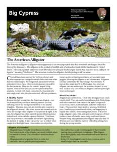 Big Cypress  The American Alligator National Park Service U.S. Department of the Interior