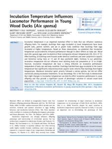 RESEARCH ARTICLE  Incubation Temperature Influences Locomotor Performance in Young Wood Ducks (Aix sponsa) BRITTNEY COLE HOPKINS1, SARAH ELIZABETH DURANT1,