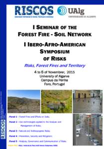 I SEMINAR OF THE FOREST FIRE - SOIL NETWORK I IBERO-AFRO-AMERICAN SYMPOSIUM OF RISKS Risks, Forest Fires and Territory