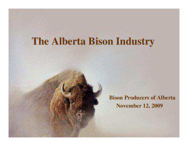 The Alberta Bison Industry  Bison Producers of Alberta