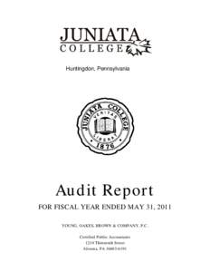 Microsoft Word - Audit Notes 2011.docx