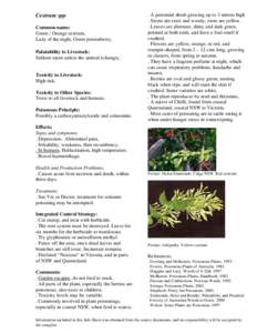 Agriculture / Cestrum parqui / Environment / Cestrum / Noxious weed / Solanine / Herbicide / Weed / Biology / Invasive plant species / Garden pests