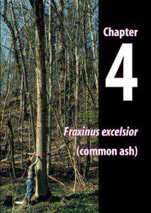 Chapter 4 - Fraxinus excelsior (common ash)  Chapter