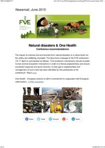 Veterinary physician / Veterinary school