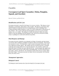 Cucurbits XXX - Cercospora Leaf Spot