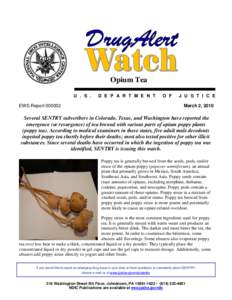 Opium Tea U . S . EWS Report[removed]D E P A R T M E N T