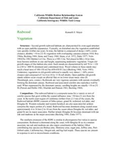 Living fossils / Redwood National and State Parks / California state parks / Sequoia sempervirens / Marbled Murrelet / Sequoia / Picea sitchensis / Pinophyta / Galbreath Wildlands Preserve / Flora of the United States / Ornamental trees / Old growth forests