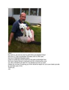 Hello! My name is Joe and me and my wife Chris just adopted Chips! We have a 7 year old daughter (Phoebe) and no other pets. We live in Westfield Massachusetts. Chips is a great boy and he seems to be quite comfortable h