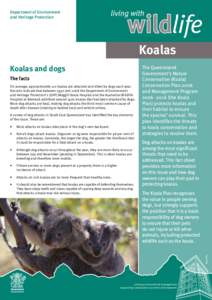 Living with wildlife - koalas and dogs