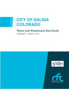 CITY OF SALIDA COLORADO Water and Wastewater Rate Study Draft Report / October 1, 2015  ii