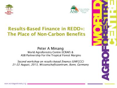 Results-Based Finance in REDD+: The Place of Non-Carbon Benefits Peter A Minang World Agroforestry Centre (ICRAF) & ASB Partnership For the Tropical Forest Margins Second workshop on results-based finance (UNFCCC)