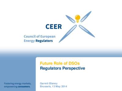 Future Role of DSOs Regulators Perspective Garrett Blaney Brussels, 13 May 2014