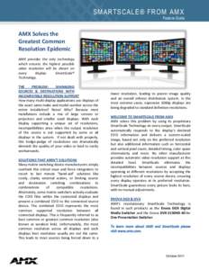 Display technology / VESA / Television technology / Video signal / Digital imaging / Extended display identification data / Display resolution / AMC AMX / AMX LLC / Computer hardware / Transport / Private transport