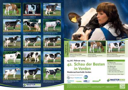 Decrausaz Iron O’Kalibra EX 96, ­Großmutter der Kat.-Nr. 342 RH Talent Maxima EX 94, Mutter und ­Großmutter der Kat.-Nr. 312 und 313