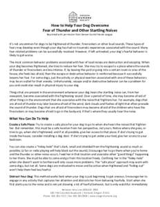 How to Help Your Dog Overcome Fear of Thunder and Other Startling Noises Reprinted with permission from Denver Dumb Friends League. It’s not uncommon for dogs to be frightened of thunder, firecrackers or other loud sou