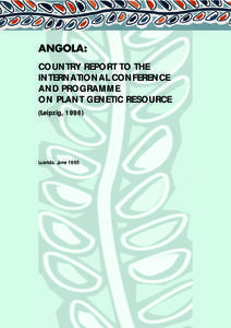ANGOLA country report  1 ANGOLA: COUNTRY REPORT TO THE