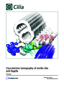 Cryo-electron tomography of motile cilia and flagella