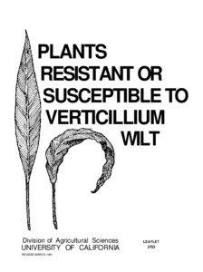 Shrub / Verticillium / Cistus / Microbiology / Classical cipher / Word square / Biology / Botany / Verticillium wilt