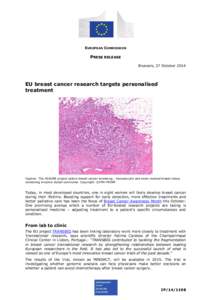 EUROPEAN COMMISSION  PRESS RELEASE Brussels, 27 October[removed]EU breast cancer research targets personalised