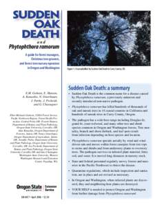 Sudden Oak Death and  Phytophthora ramorum
