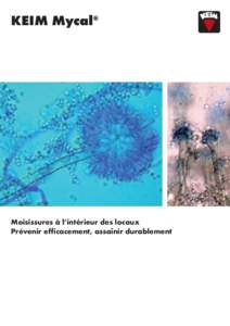 KEIM Mycal®  Moisissures à l’intérieur des locaux Prévenir efficacement, assainir durablement  Zone à risque de développement des moisissures
