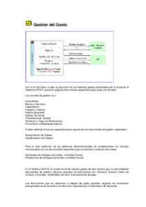 Gestión del Gasto  Con el fin de llevar a cabo la ejecución de los distintos gastos planificados por el proyecto el Sistema UEPEX prevé la carga de documentos específicos para cada uno de ellos. Los circuitos de gest