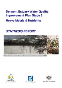 Derwent Estuary Water Quality Improvement Plan Stage 2: Heavy Metals & Nutrients SYNTHESIS REPORT