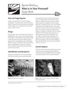 Species Brief 5.3 What Is in Your Firewood? Gypsy Moth Pest and Target Species Gypsy moth caterpillars, Lymantria dispar (Lepidoptera: Lymantriidae), can feed on more
