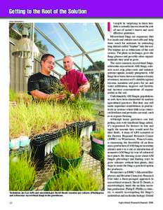 Getting to the Root of the Solution PEGGY GREB (D365-1) Technician Joe Lee (left) and microbiologist David Douds examine pot cultures of bahiagrass and arbuscular mycorrhizal fungi in the greenhouse. 12