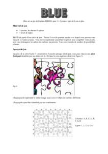 Blue est un jeu de Stephan RIEDEL pour 1 à 5 joueurs âgés de 8 ans et plus.  Matériel de jeu :  5 puzzles, de chacun 48 pièces  1 livret de règles BLUE fait partie d’une série de jeux : Factor-5 et est le prem