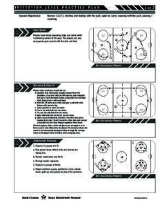 Team sports / Pass / Goaltender / Goal / Hockey / Puck / Pond hockey / Centre / National Hockey League rules / Sports / Ice hockey / Ice hockey rules