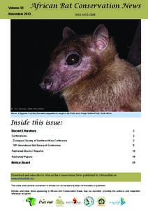 Volume 33  African Bat Conservation News November 2013