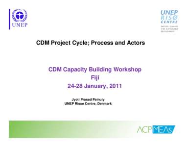 CDM Project Cycle; Process and Actors  CDM Capacity Building Workshop Fiji[removed]January, 2011 Jyoti Prasad Painuly