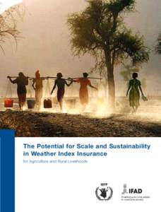 The Potential for Scale and Sustainability in Weather Index Insurance for Agriculture and Rural Livelihoods Enabling poor rural people to overcome poverty