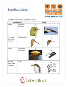 BIRD BEAK QUEST  Match the beak with the correct food source. FOOD SOURCE Nectar Worms in
