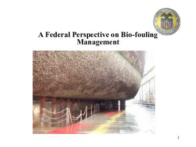 A Federal Perspective on Bio-fouling fouling Management James River Reserve Fleet 1