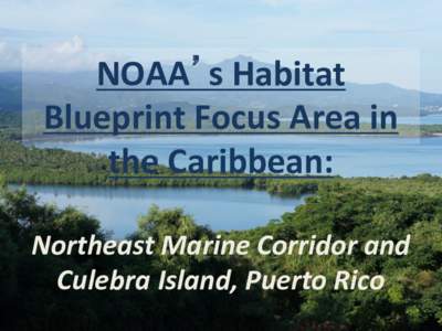 NOAA’s Habitat Blueprint Focus Area in the Caribbean: Northeast Marine Corridor and Culebra Island, Puerto Rico