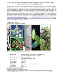 Microsoft Word - Tribal Uses for Toyon-#5.doc