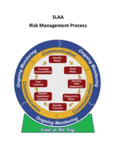 SLAA Risk Management Process 