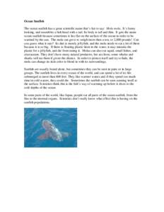 Ocean Sunfish The ocean sunfish has a great scientific name that’s fun to say: Mola mola. It’s funny looking, and resembles a fish head with a tail. Its body is tall and thin. It gets the name ocean sunfish because s