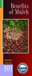 DroughtSurvivalGuide_ƒ7_Mulch Front