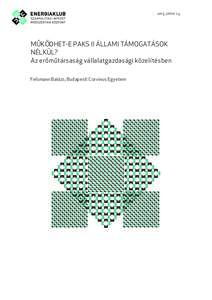 2015. június 23.  MŰKÖDHET-E PAKS II ÁLLAMI TÁMOGATÁSOK NÉLKÜL? Az erőműtársaság vállalatgazdasági közelítésben Felsmann Balázs, Budapesti Corvinus Egyetem