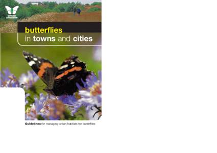 RED ADMIRAL  butterflies in towns and cities  Guidelines for managing urban habitats for butterflies